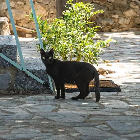 Tranquil Stone Garden House Casa vacanze